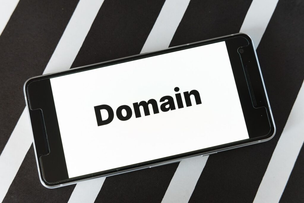 How to chose Domain for Authority and niche